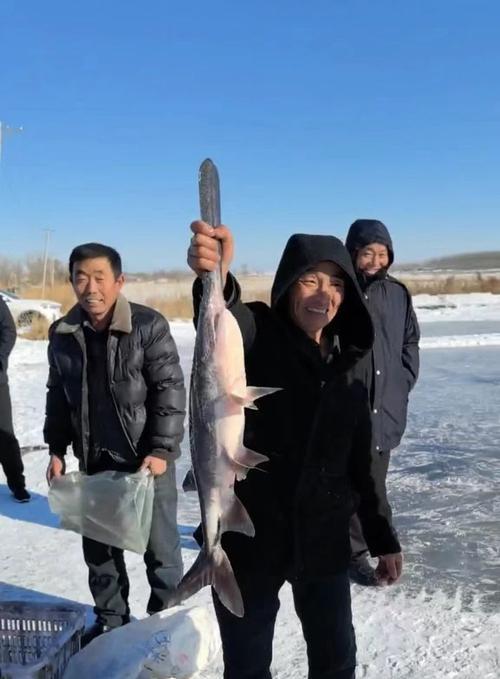 MySQL 数据库中记录不存在时如何运行？